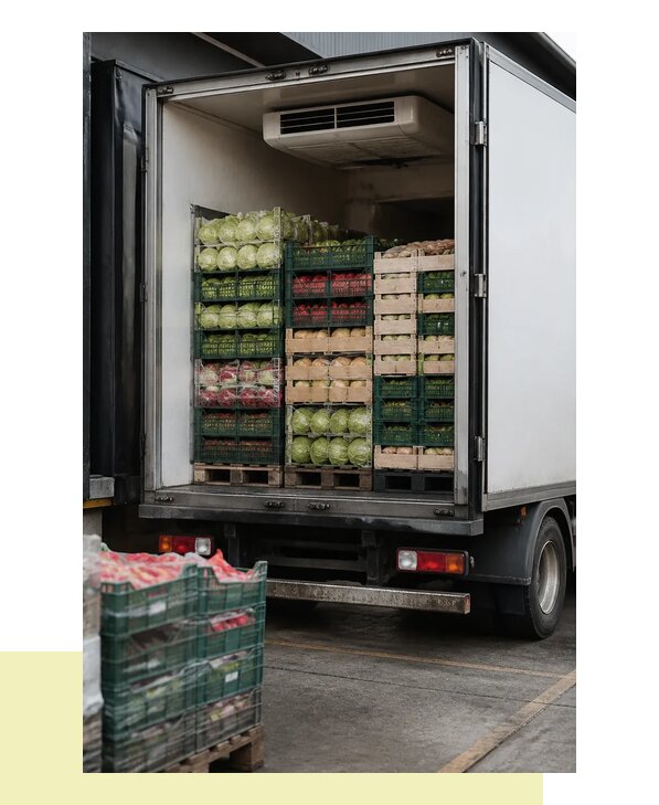 Перевозка плодоовощной продукции оптом напрямую в Троицк