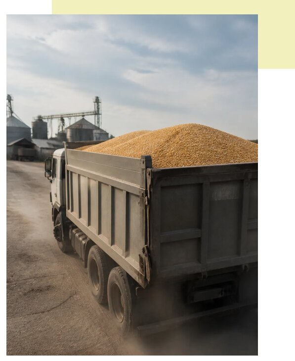 Перевозка сельхозпродукции навалом в Троицк по цене от 3093 р. | Агросервис-Трц